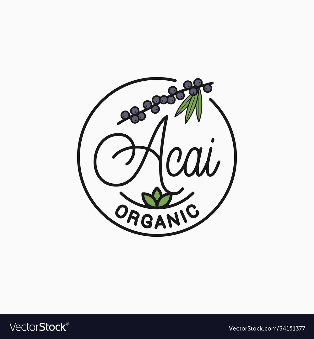 Acai Branch Logo Round Linear Superfood Royalty Free Vector