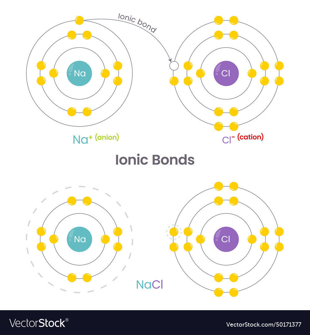 Ionic bonds Royalty Free Vector Image - VectorStock