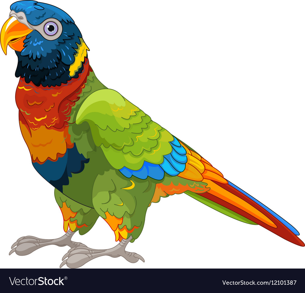 Lory parrot Royalty Free Vector Image - VectorStock