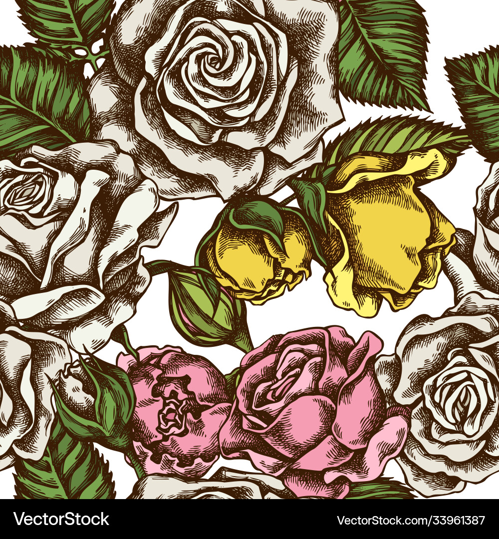 Seamless pattern with hand drawn colored roses Vector Image