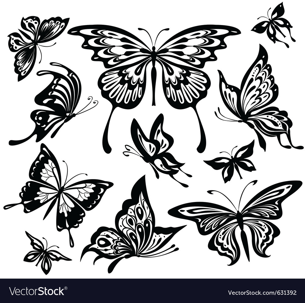 Set Of Black And White Butterflies Royalty Free Vector Image