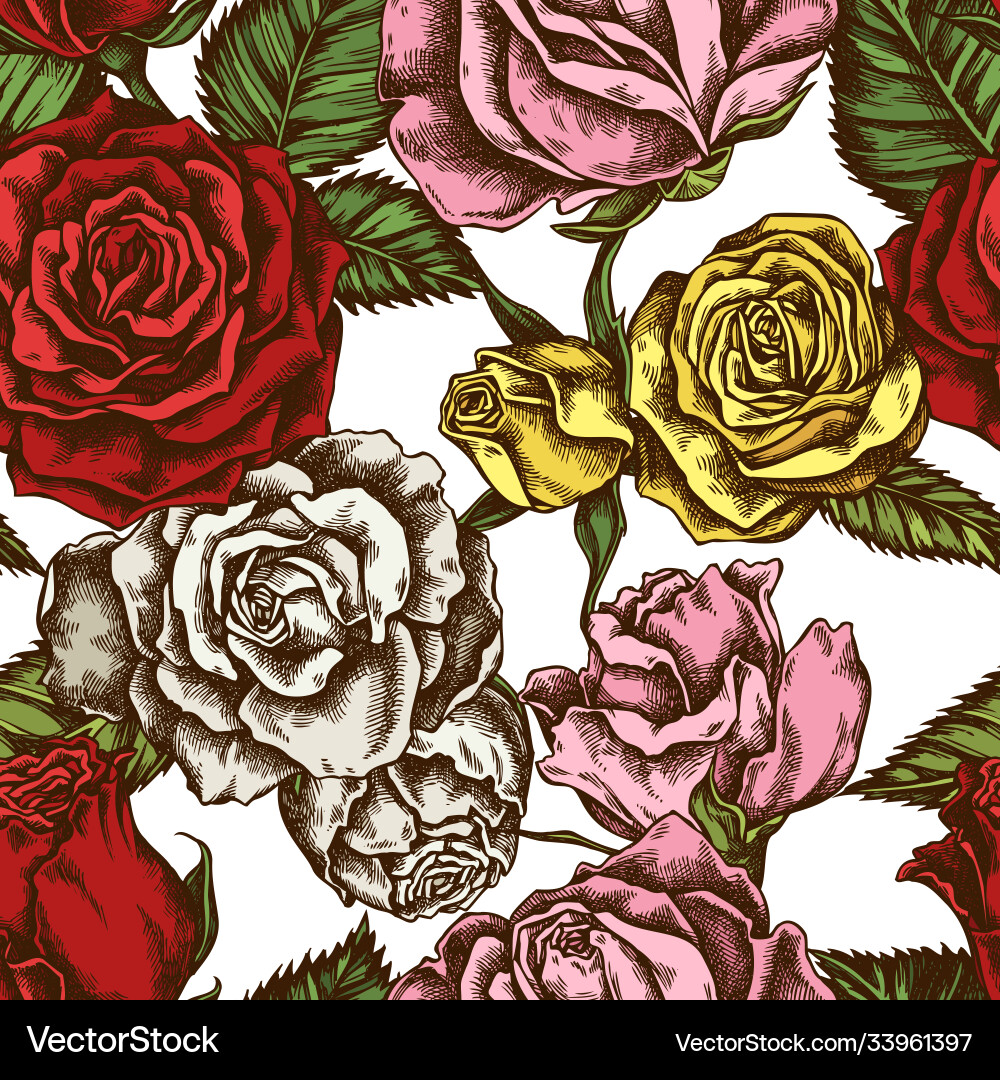 Seamless pattern with hand drawn colored roses Vector Image