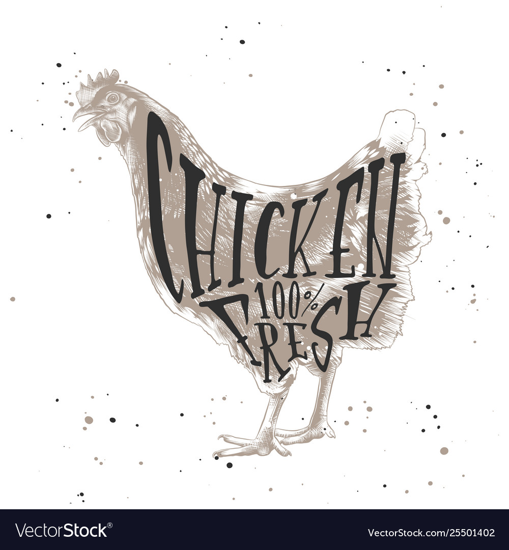 Sketch farm chicken or hen linocut style Vector Image