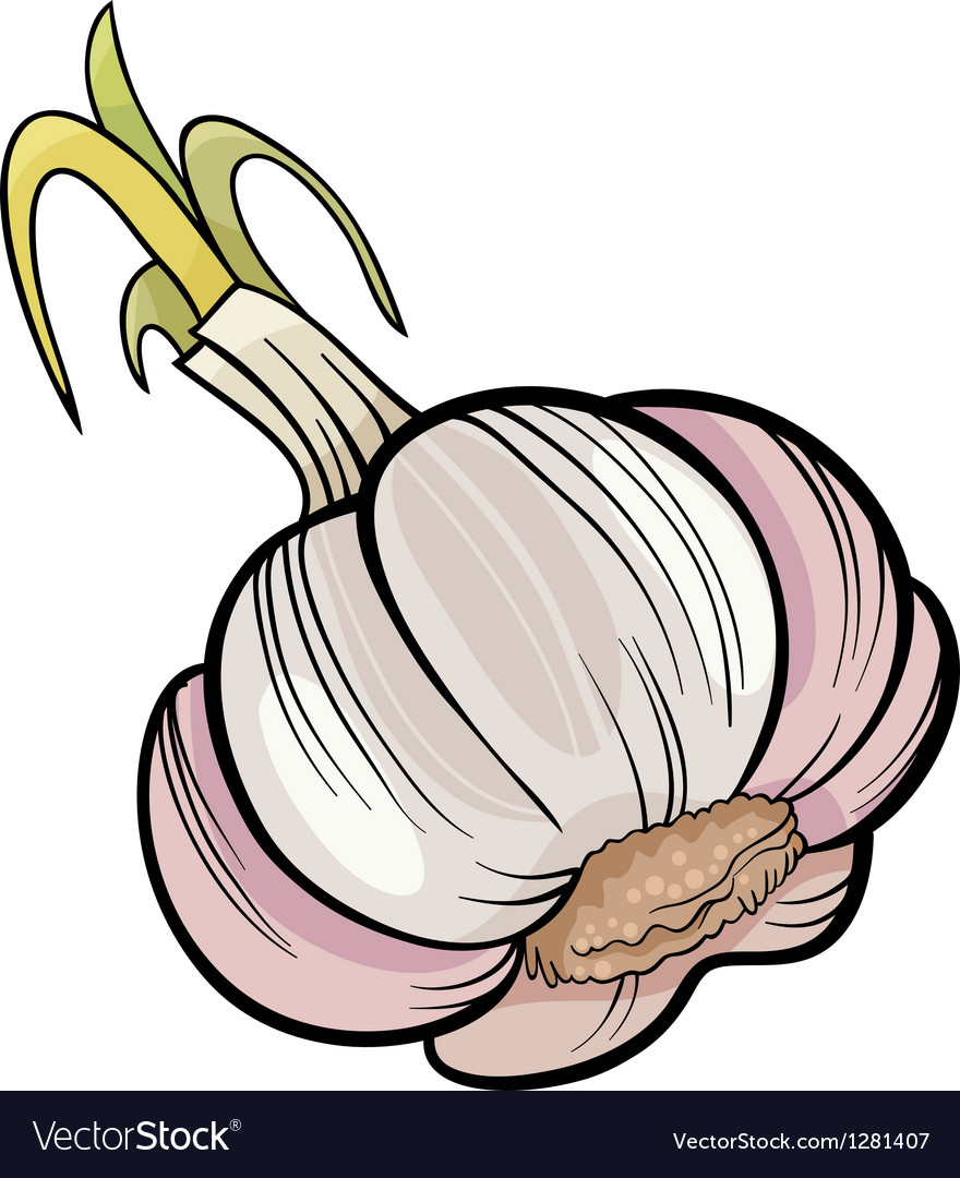 Garlic vegetable cartoon Royalty Free Vector Image