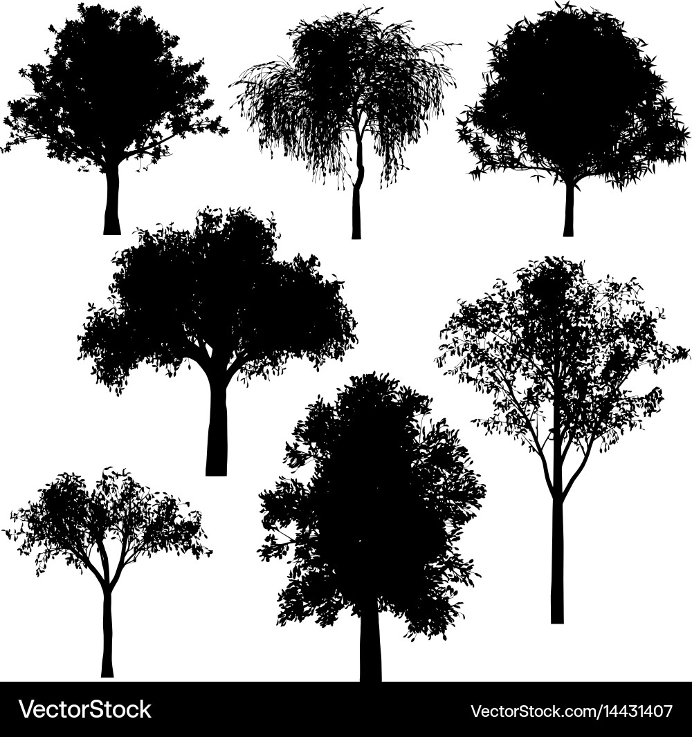 Tree silhouettes Royalty Free Vector Image - VectorStock