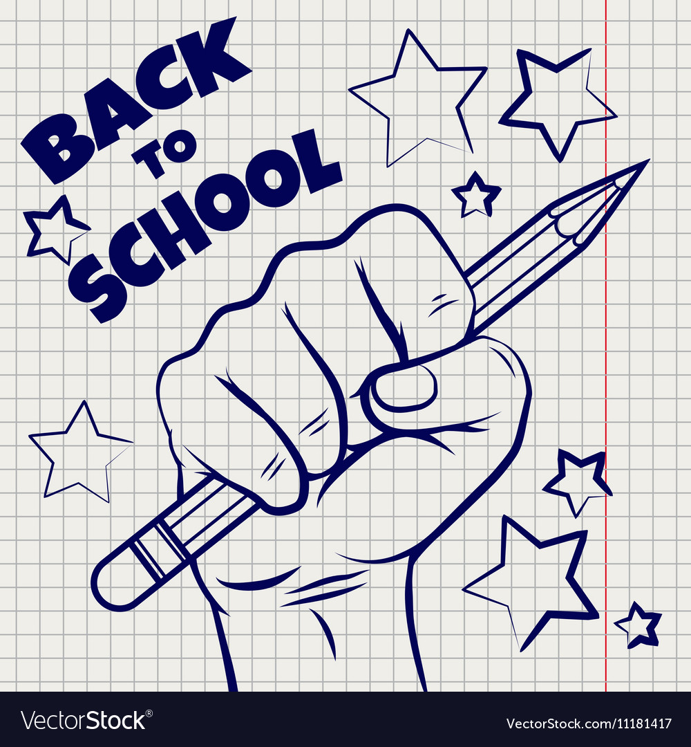 School Stationary Icons And Back To School Draw On Blackboard Photo –  Shopbackdrop