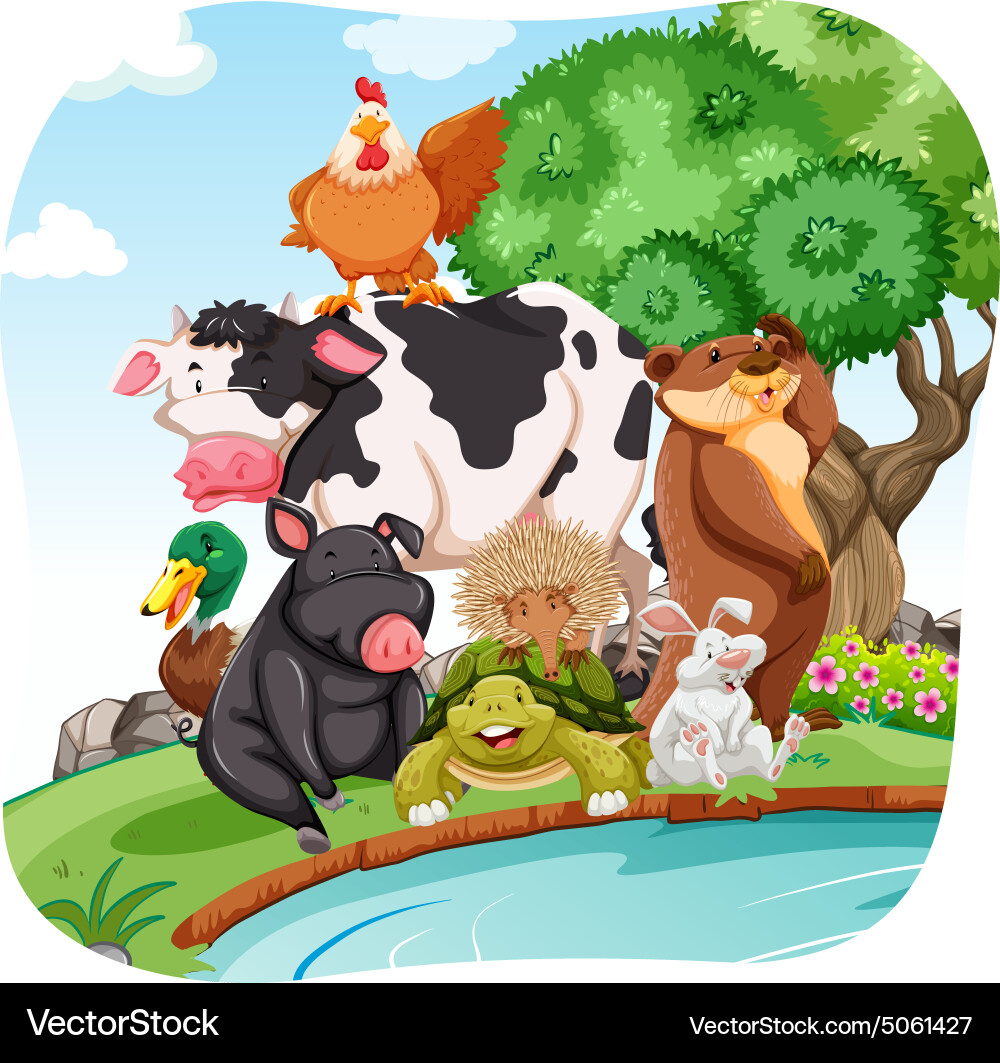 Animals Royalty Free Vector Image - VectorStock
