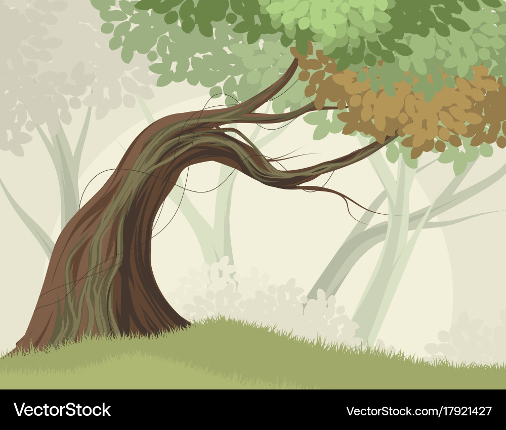 Tree and forest scene Royalty Free Vector Image