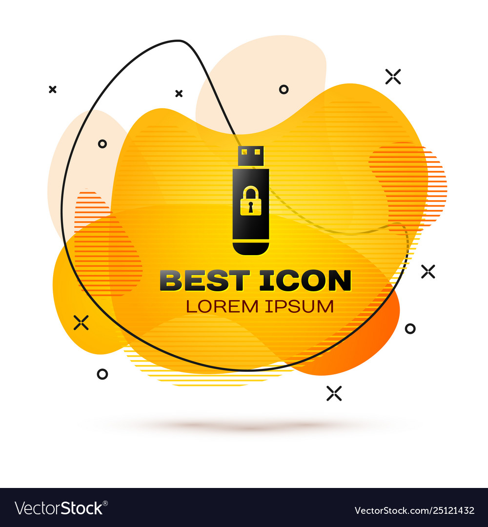 Black usb flash drive with closed padlock icon Vector Image