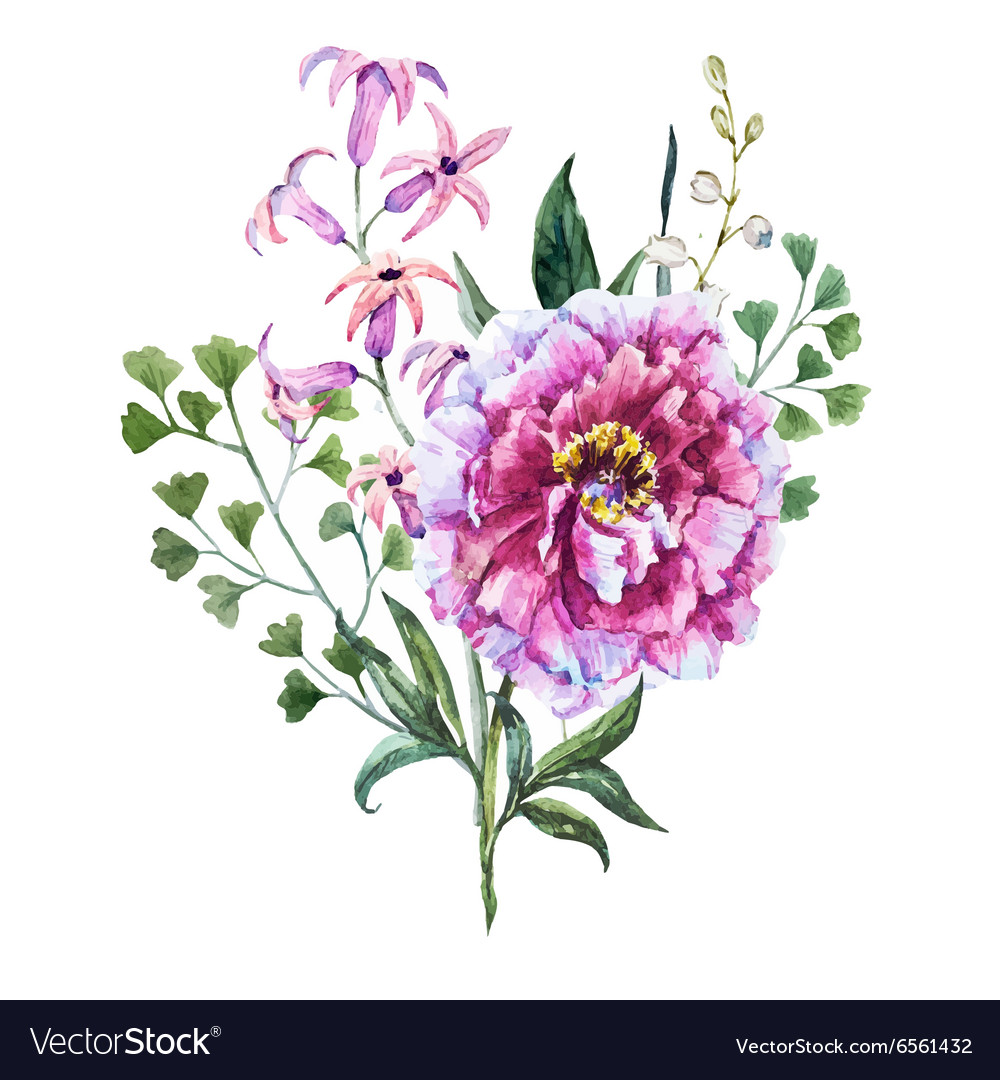 Hand drawn watercolor flowers Royalty Free Vector Image