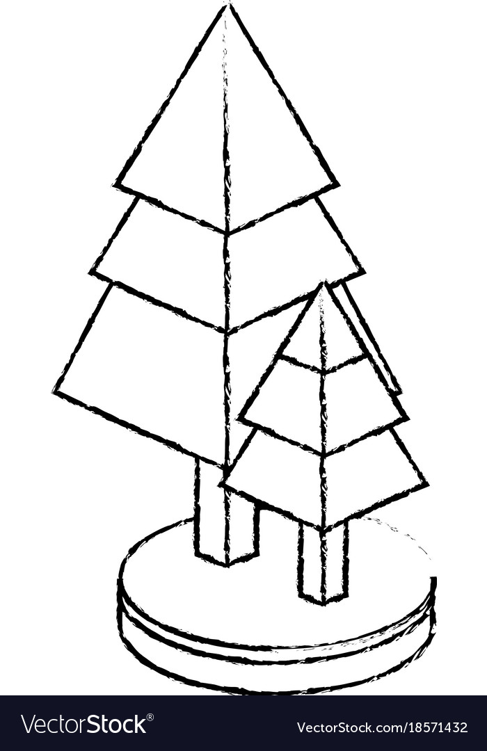Isometric pine tree design Royalty Free Vector Image