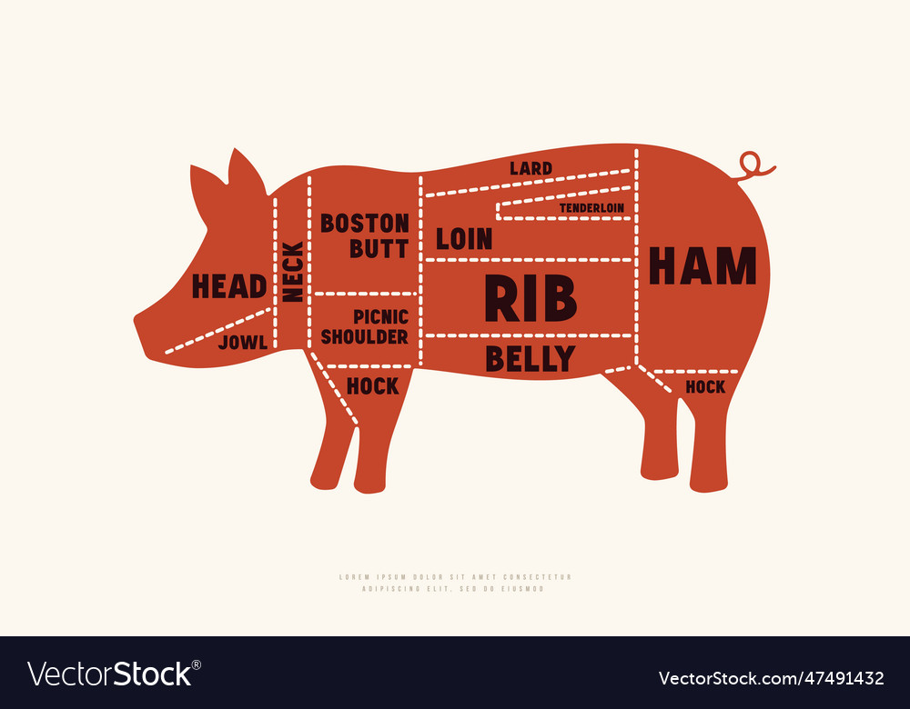 Ork cuts diagram in silhouette style Royalty Free Vector