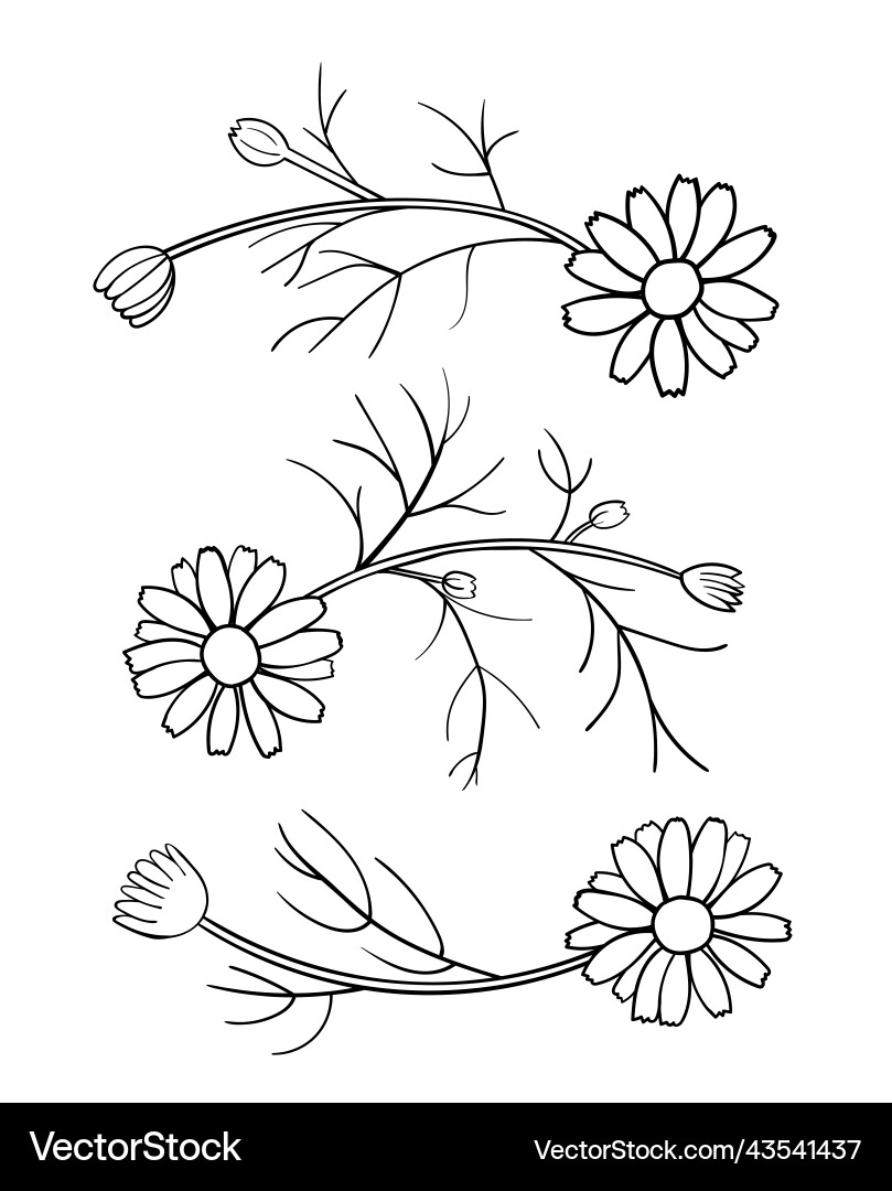 Daisy elements for pattern black contour on white Vector Image