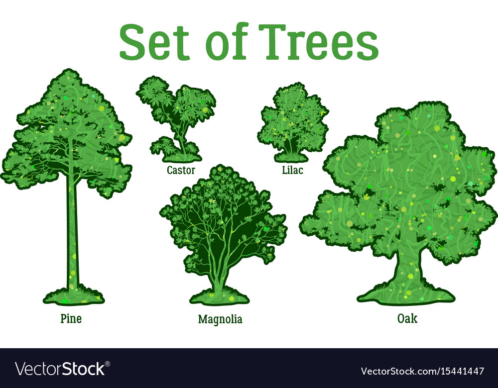 Set plants trees and bushes Royalty Free Vector Image