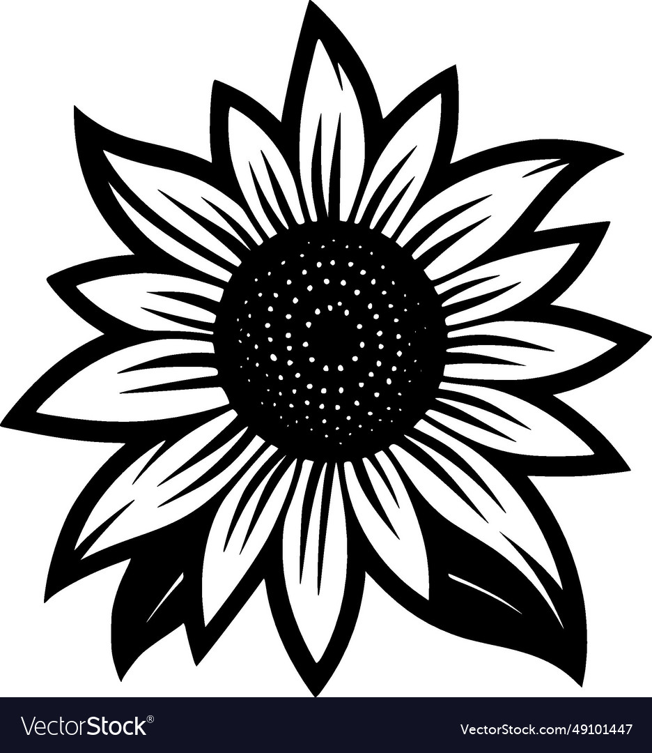 Sunflower - black and white Royalty Free Vector Image