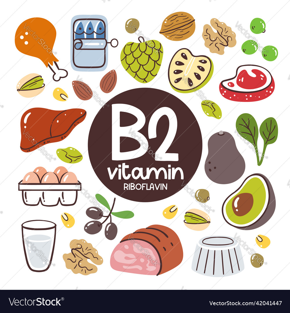 Vitamin b2 food ingredients riboflavin Royalty Free Vector