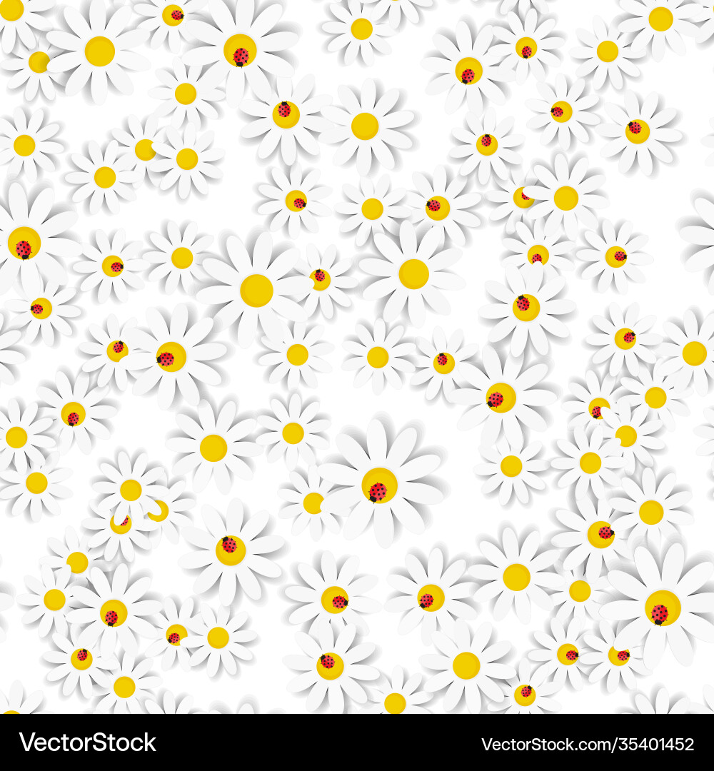 Flora daisy design background seamless pattern Vector Image