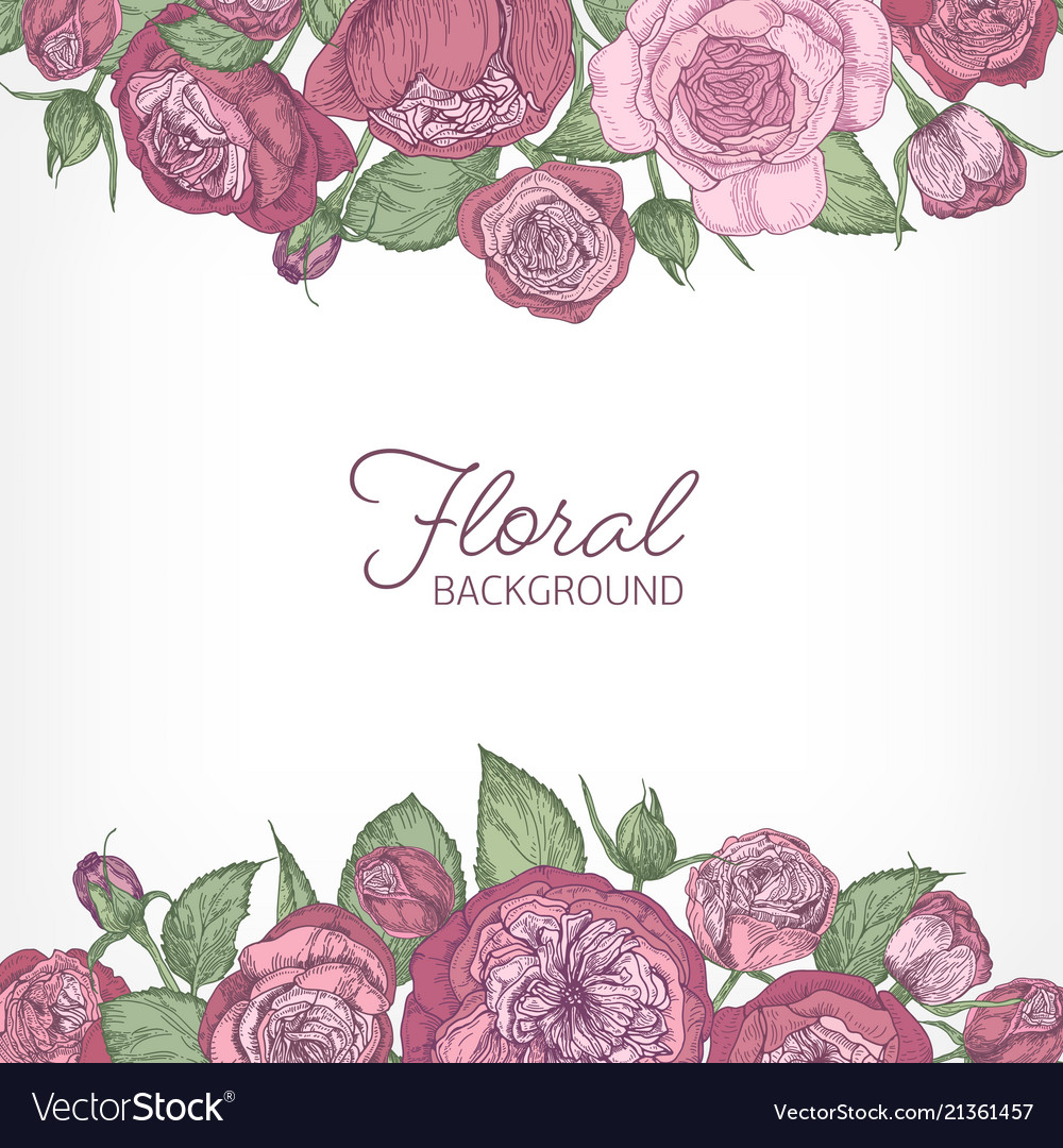 Square Romantic Floral Backdrop Decorated With Vector Image