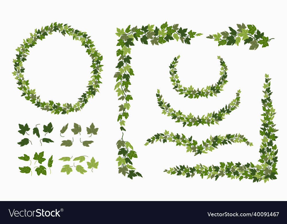 Ivy vines and wreaths and decorative Royalty Free Vector