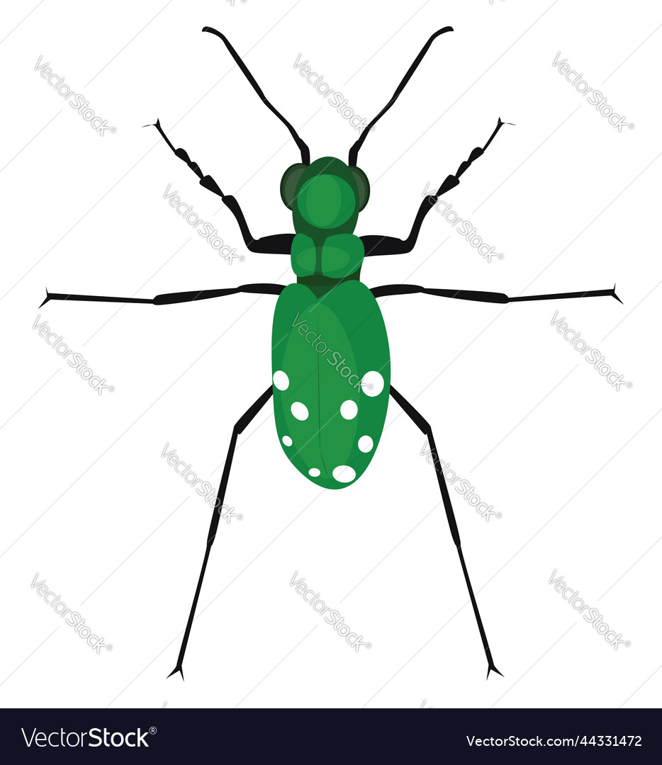 Green bug on a white background Royalty Free Vector Image