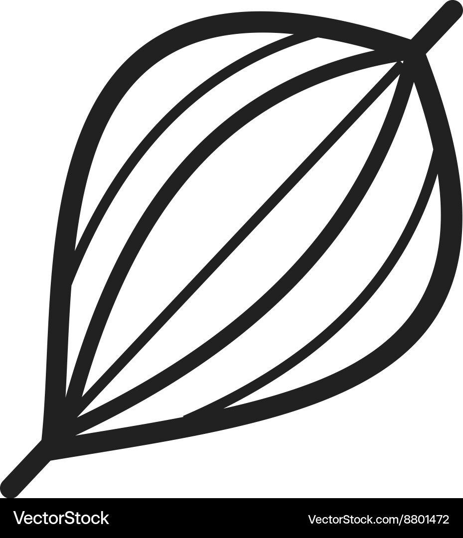 Musculer Vector Muscle Royalty Free Vector Image - VectorStock