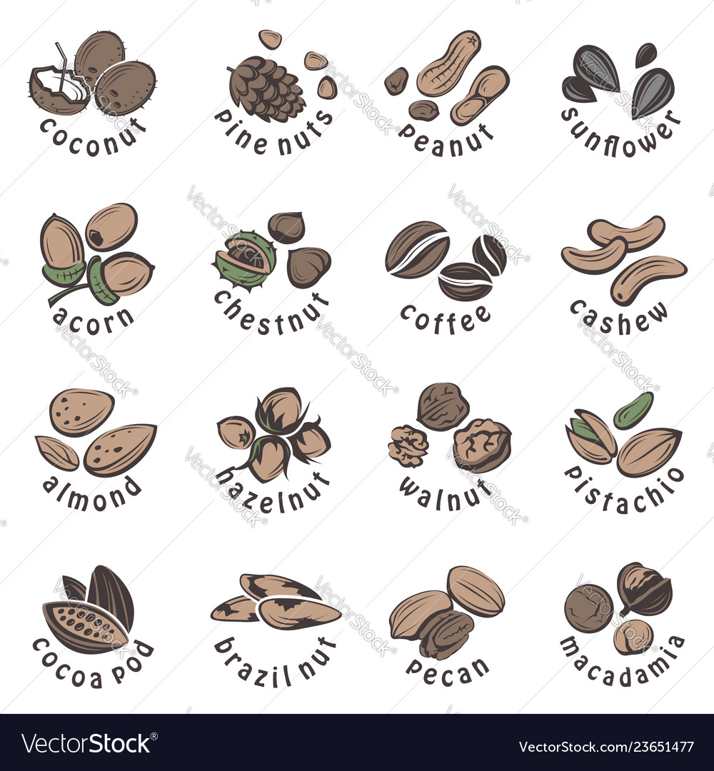 Nuts Icons Set Royalty Free Vector Image Vectorstock