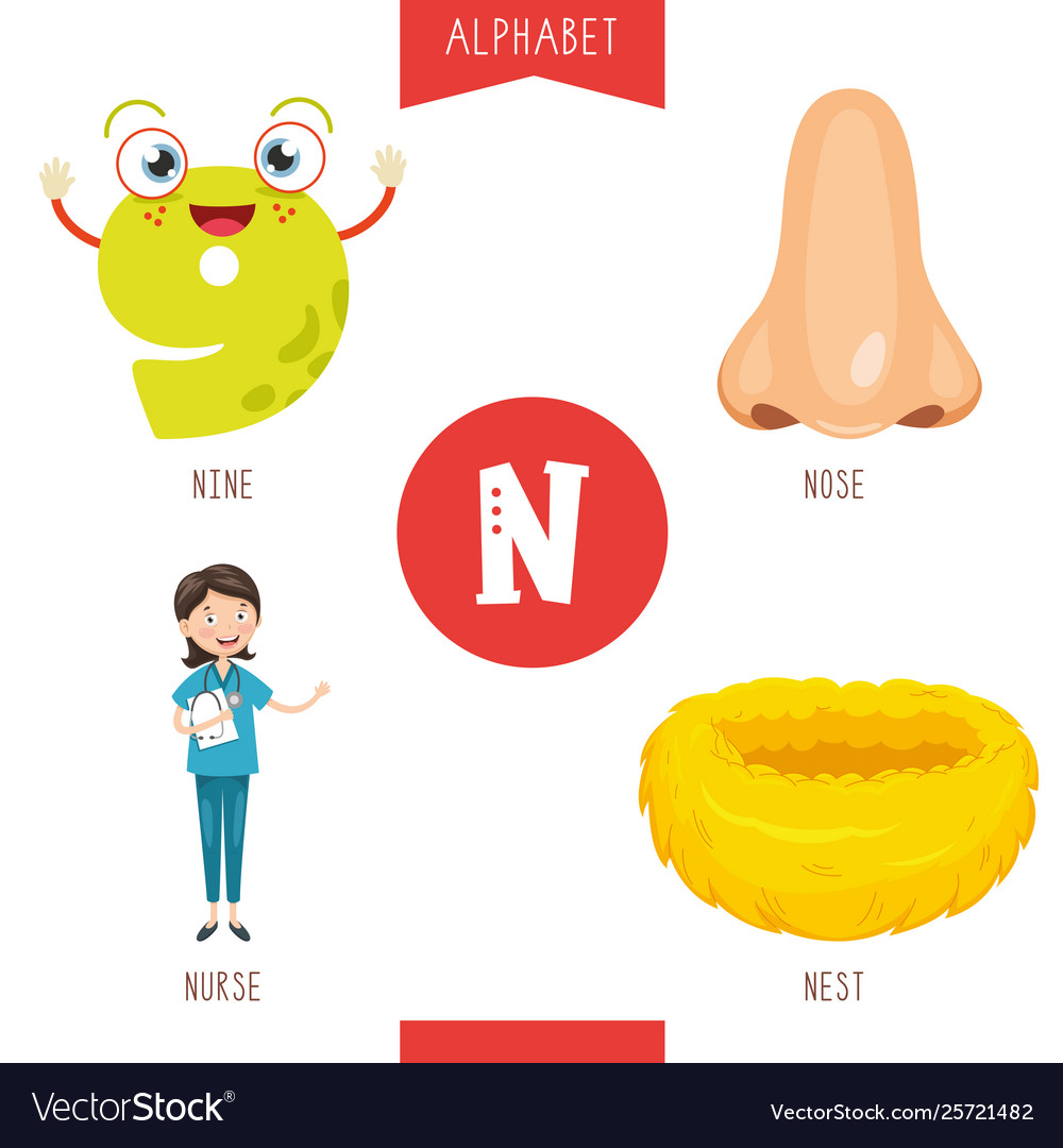 alphabet-letter-n-and-pictures-royalty-free-vector-image