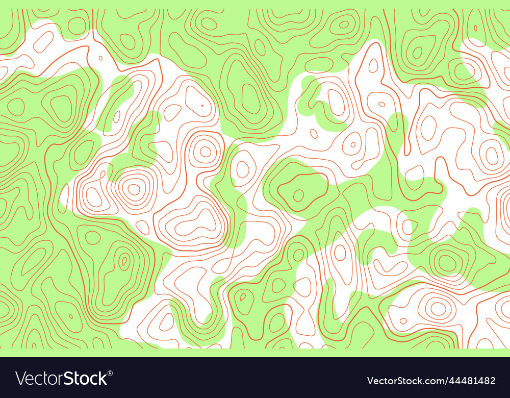 Topography map contour line abstract terrain Vector Image