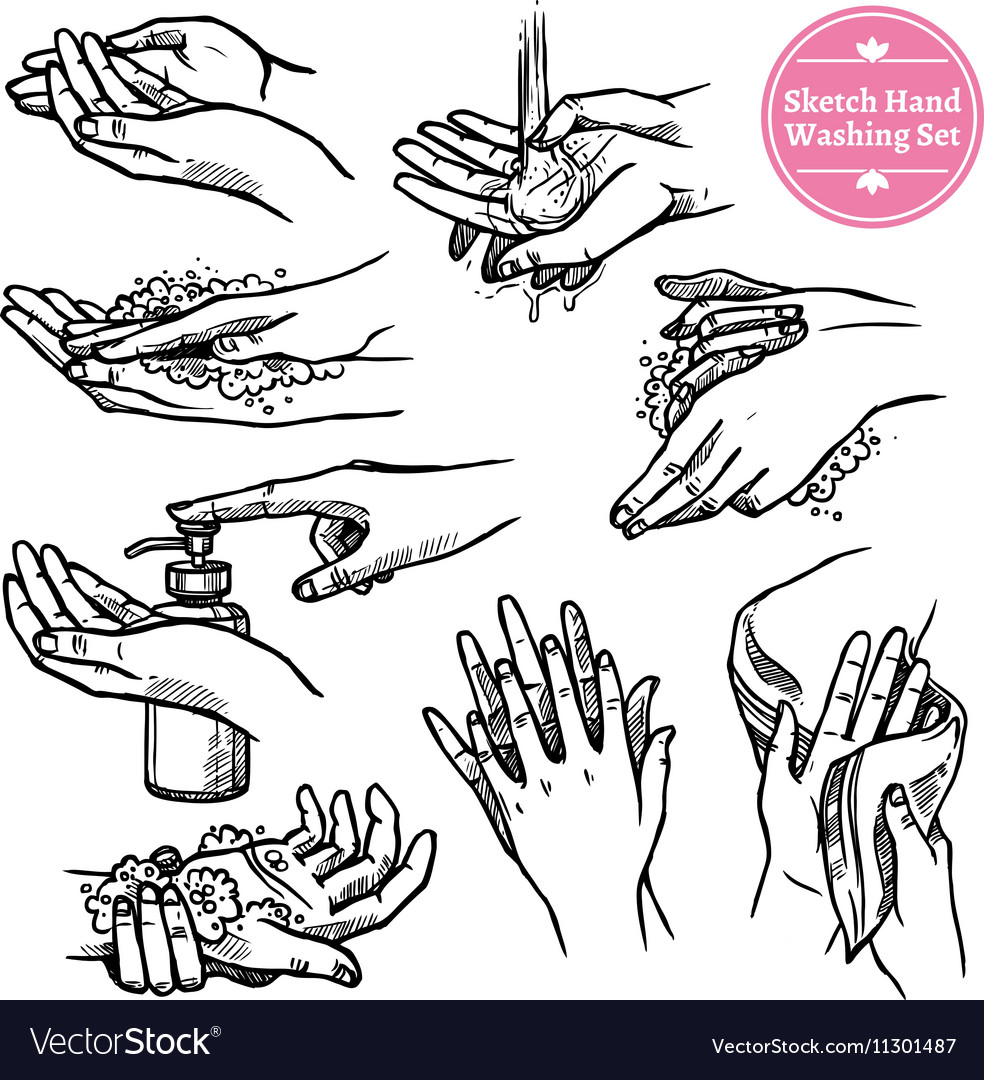 Washing Hands Drawing / Download a free preview or high quality adobe