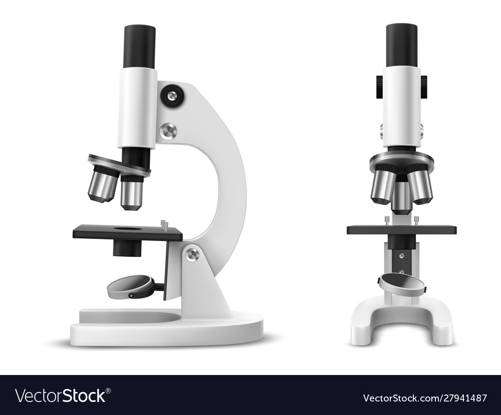 Realistic or 3d microscope side and front view Vector Image