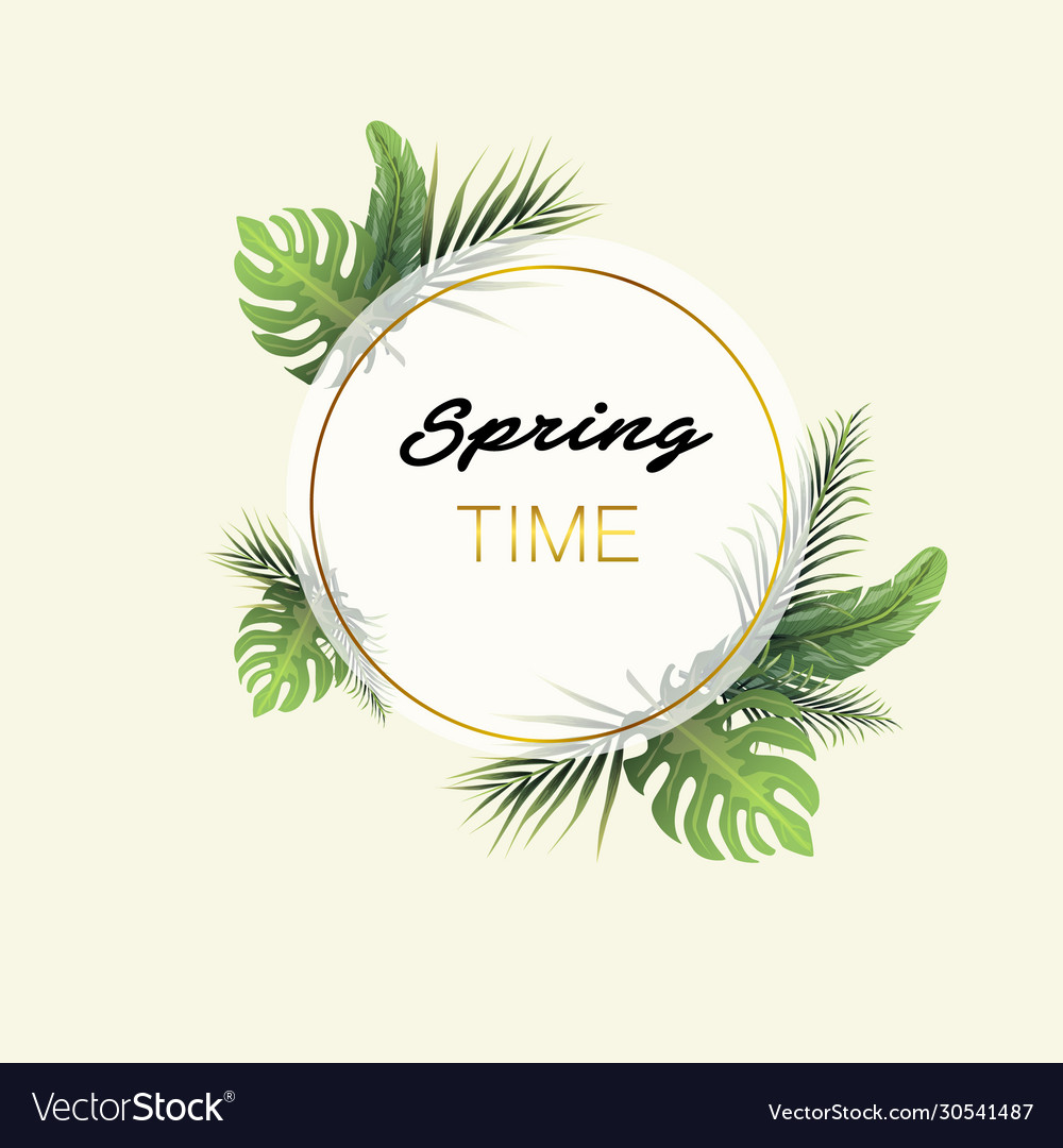 Spring time banner on pastel background Royalty Free Vector