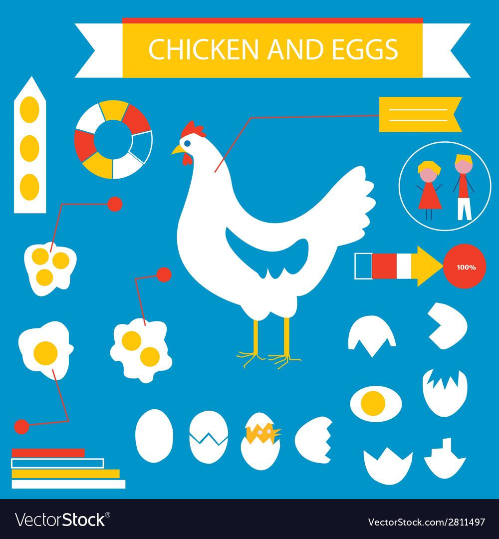 Chicken and eggs infographic set Royalty Free Vector Image