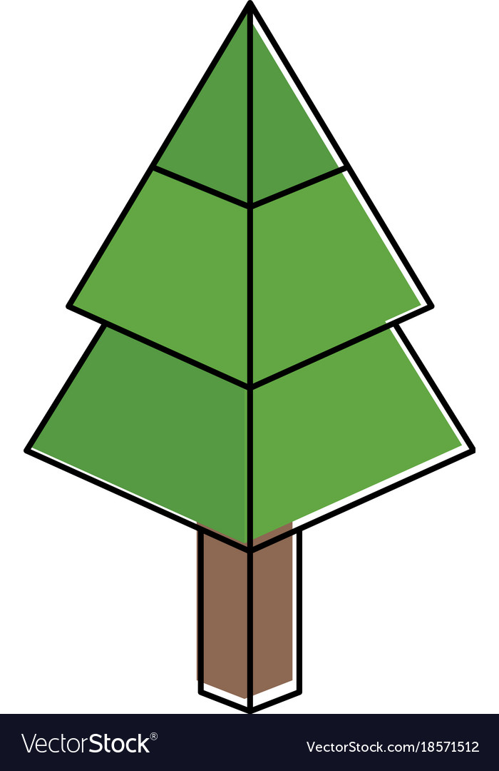 Isometric pine tree design Royalty Free Vector Image