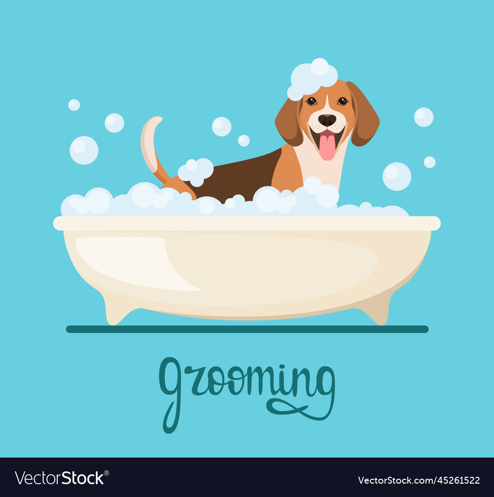 Dog is washing in the bathroom Royalty Free Vector Image