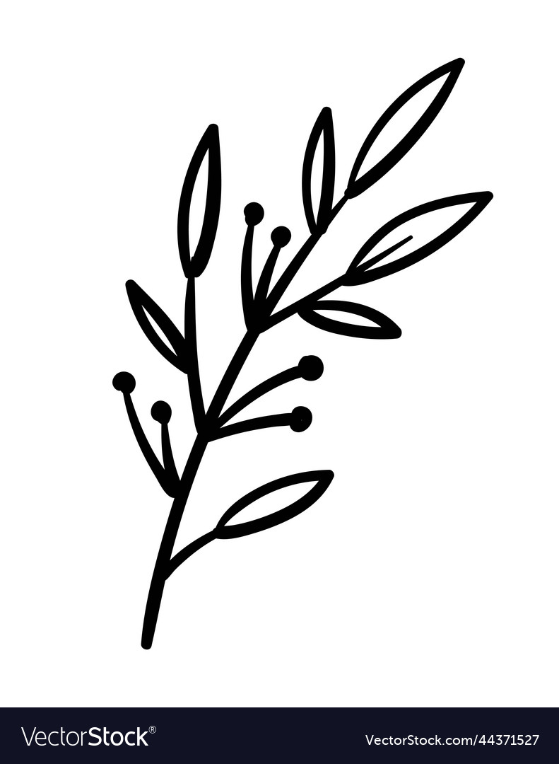 Hand painted branch Royalty Free Vector Image - VectorStock