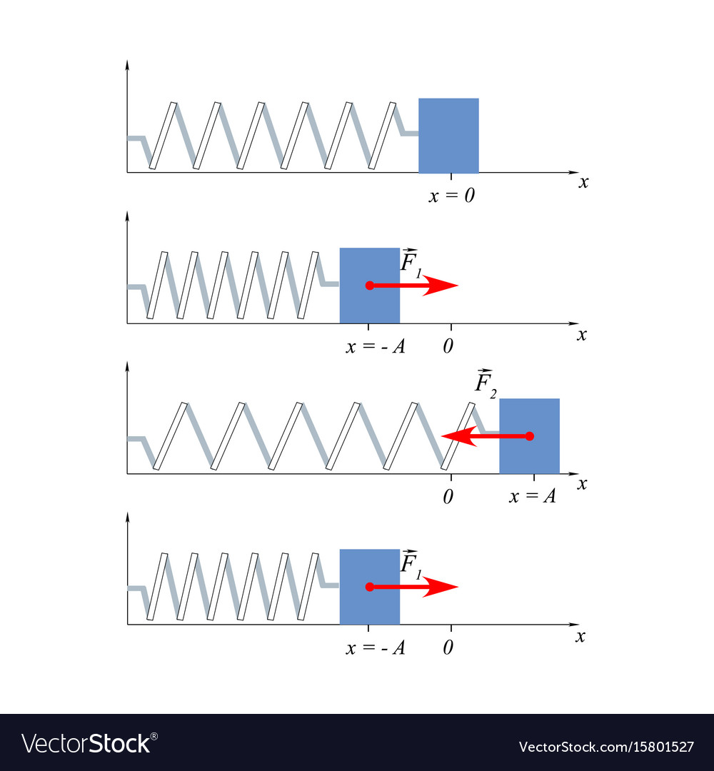 Hookes law law of elasticity for relatively Vector Image