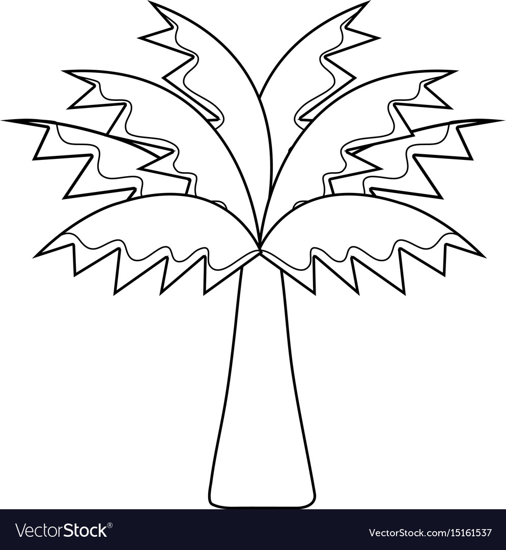 Line palm tree with leaves and vegetation Vector Image