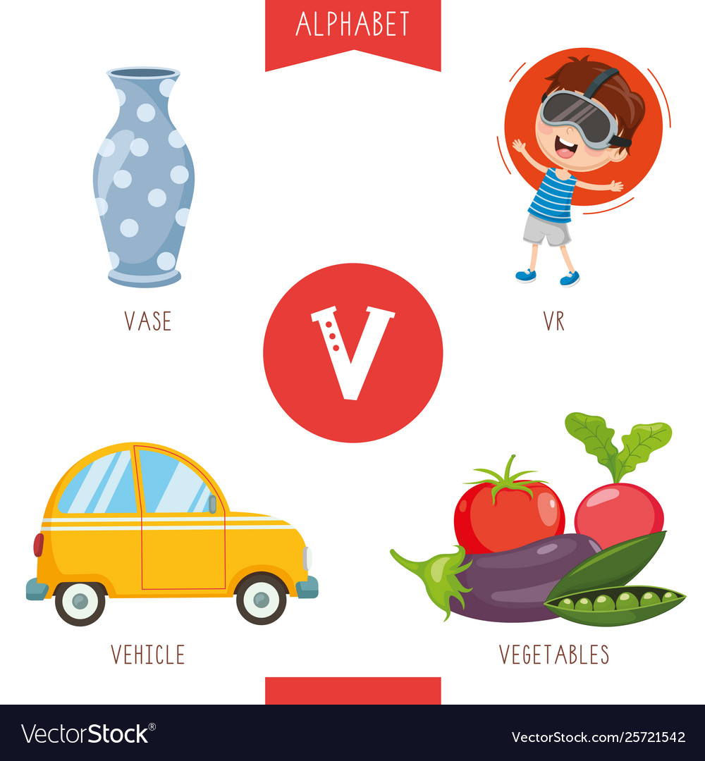 alphabet-letter-v-and-pictures-royalty-free-vector-image