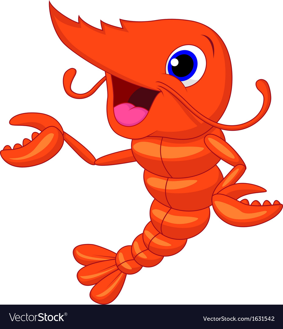 Cute shrimp cartoon presenting Royalty Free Vector Image