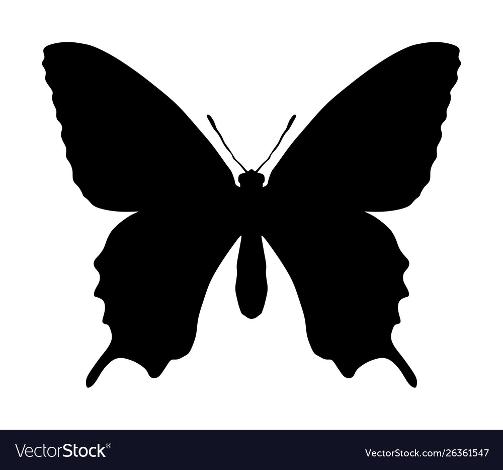 Download Butterfly silhouette isolated on white Royalty Free Vector