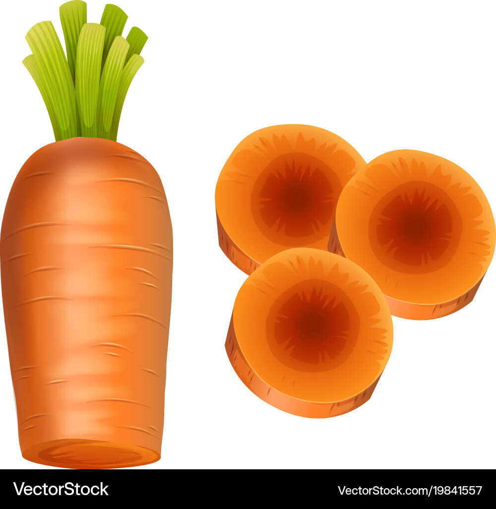 Fresh carrot slices on white background Royalty Free Vector