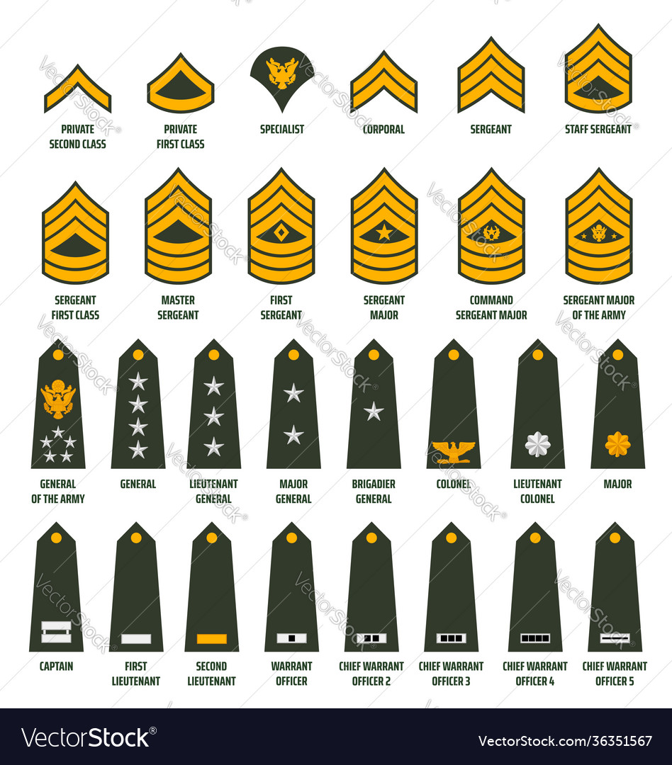 Enlisted Army Ranks Army Enlisted Rank Insignia Stock Vector All In ...