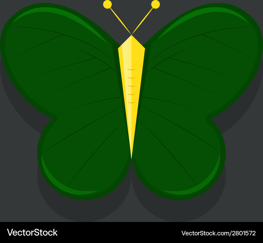 Butterfly Royalty Free Vector Image - VectorStock