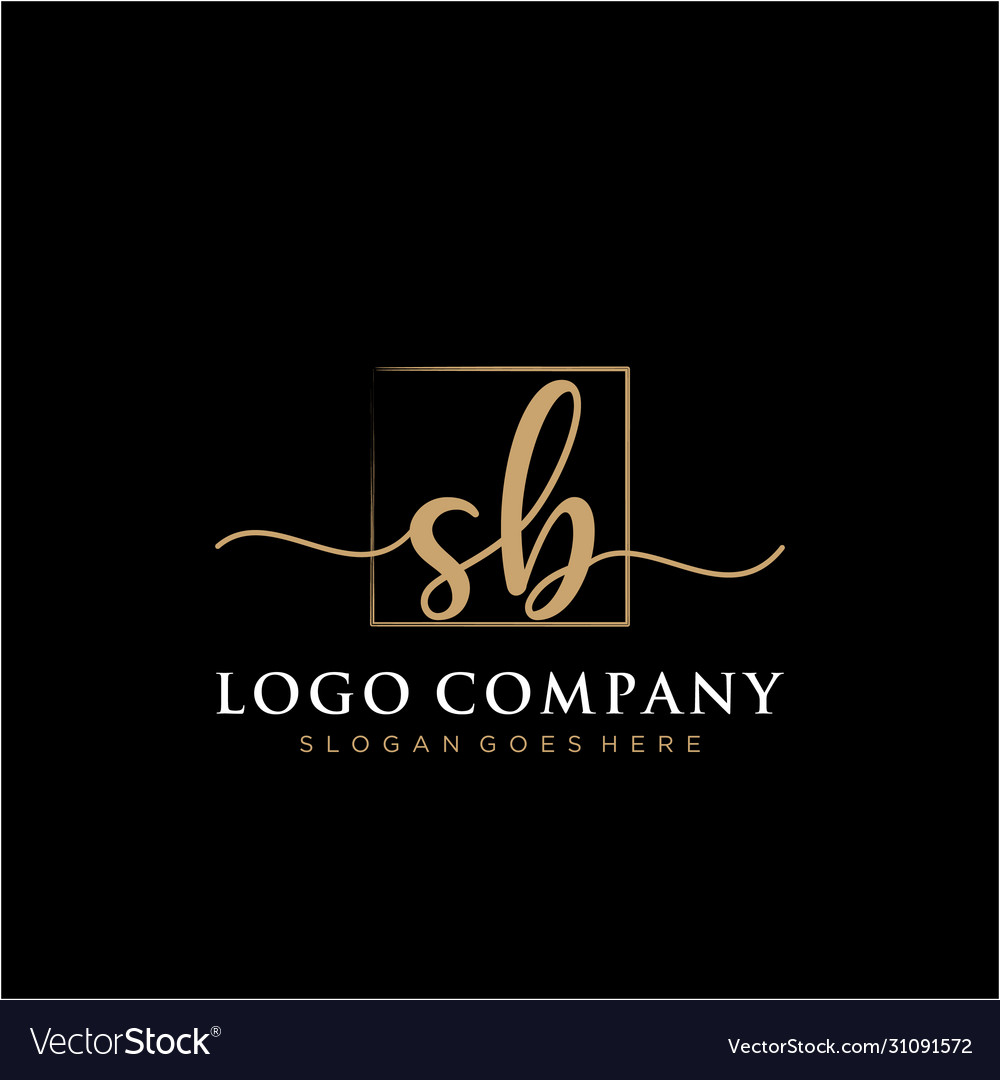 Sb initial handwriting logo with rectangle Vector Image