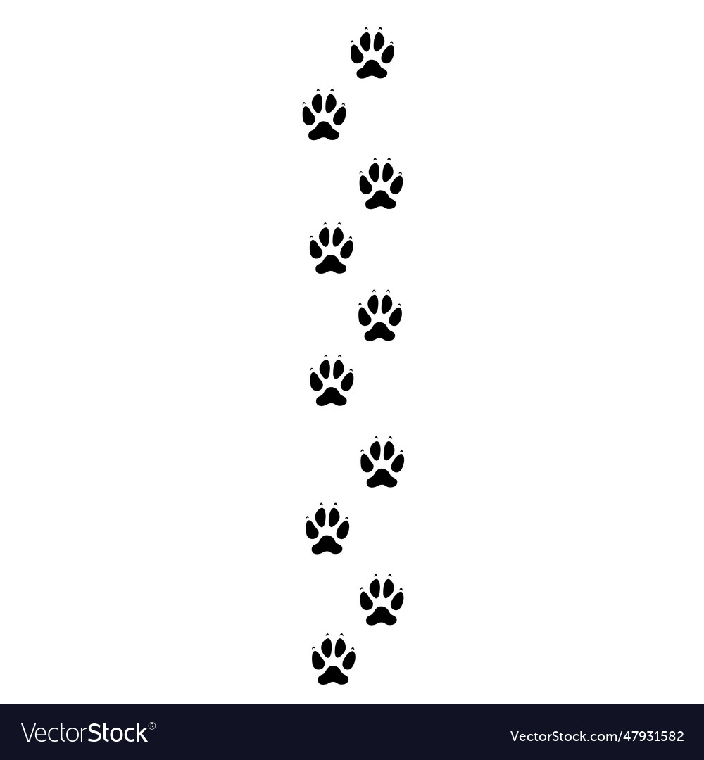 Dog or wolf footprint line Royalty Free Vector Image