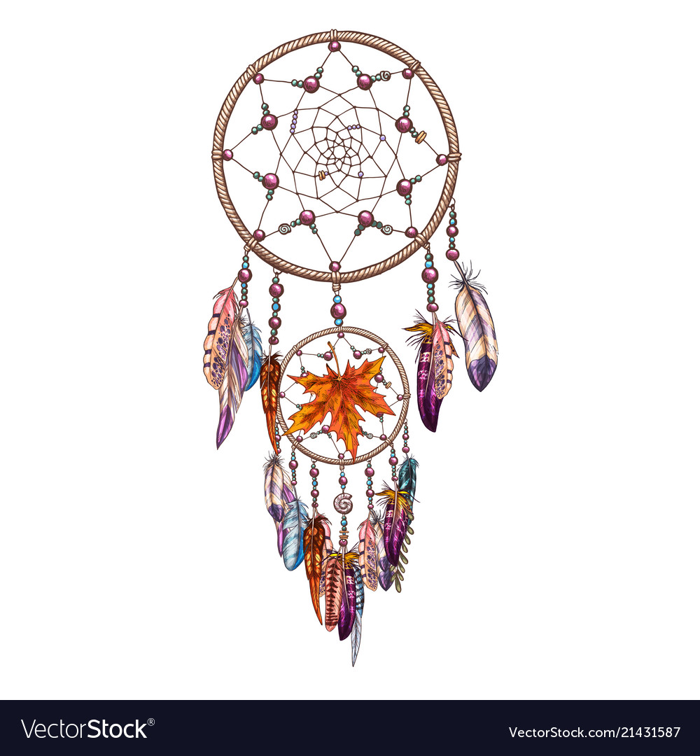 Hand drawn ornate dreamcatcher with feathers and Vector Image