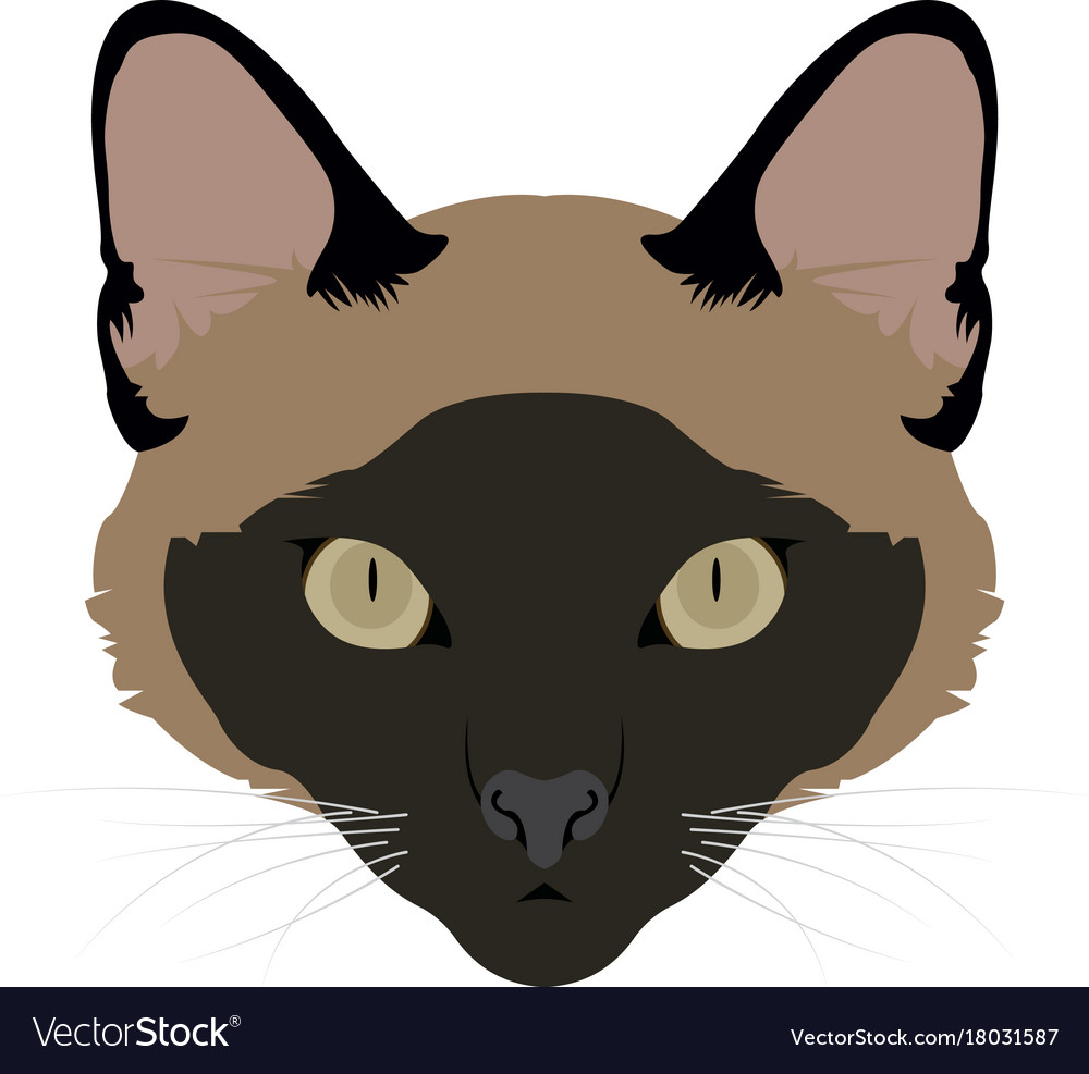 Isolated cat avatar Royalty Free Vector Image - VectorStock