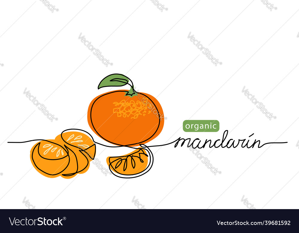 Mandarin tangerine one line vector image Mandarin tangerine one line