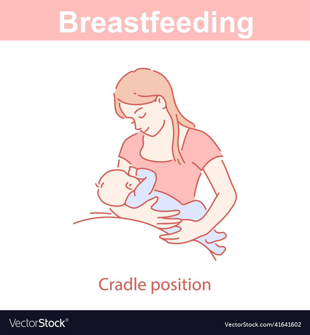 Breastfeeding cradle position woman feeding Vector Image