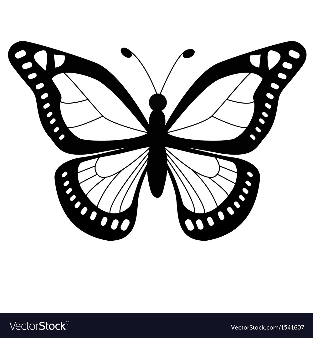 Download Butterfly Royalty Free Vector Image - VectorStock